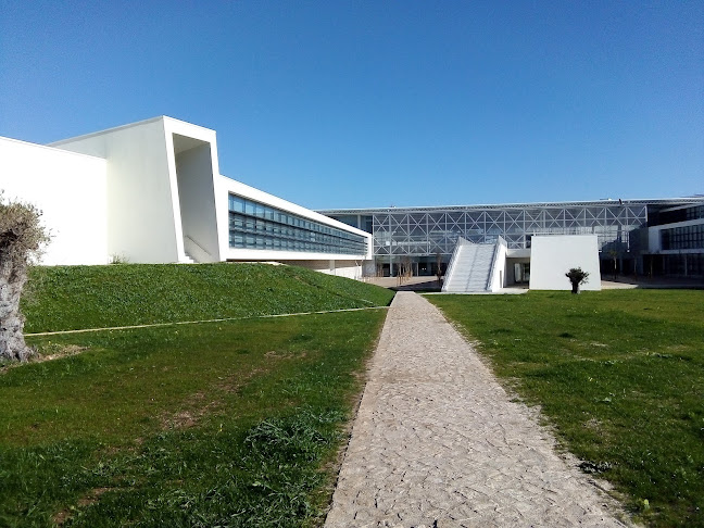 Avaliações doNova School of Business and Economics em Cascais - Universidade