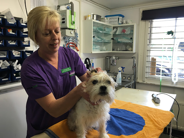 Comments and reviews of Aylsham Vets