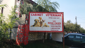 Clinica Veterinara Fulgervet