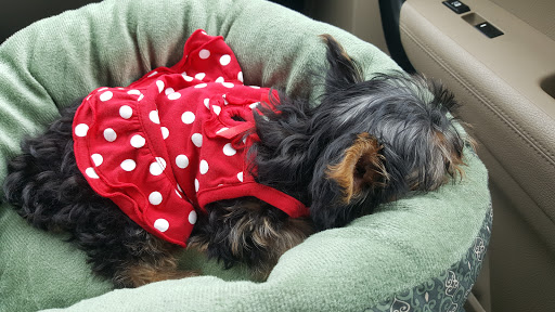 Pet Supply Store «Petco Animal Supplies», reviews and photos, 3300 Broadway St, Eureka, CA 95501, USA