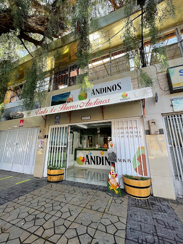 Opiniones de ANDINOS.LTDA en Calama - Supermercado