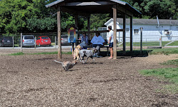 Salem Rotary Dog Park