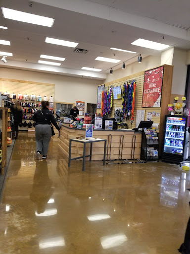 Bicycle Store «Sun & Ski», reviews and photos, 2438 W Anderson Ln, Austin, TX 78757, USA