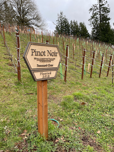 Vineyard «Willamette Valley Vineyards», reviews and photos, 8800 Enchanted Way SE, Turner, OR 97392, USA