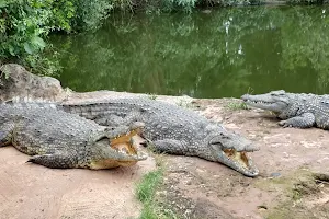 Livingstone Crocodile Park image