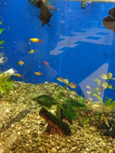 Pet Supply Store «Pet Supplies Plus», reviews and photos, 2100 W Grand River Ave, Okemos, MI 48864, USA