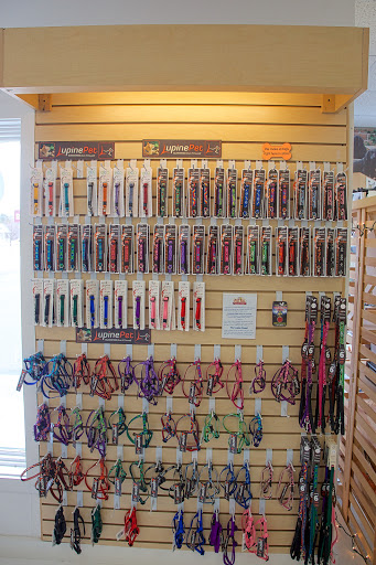 Pet Supply Store «Four Your Paws Only», reviews and photos, 1821 White Mountain Hwy, North Conway, NH 03860, USA