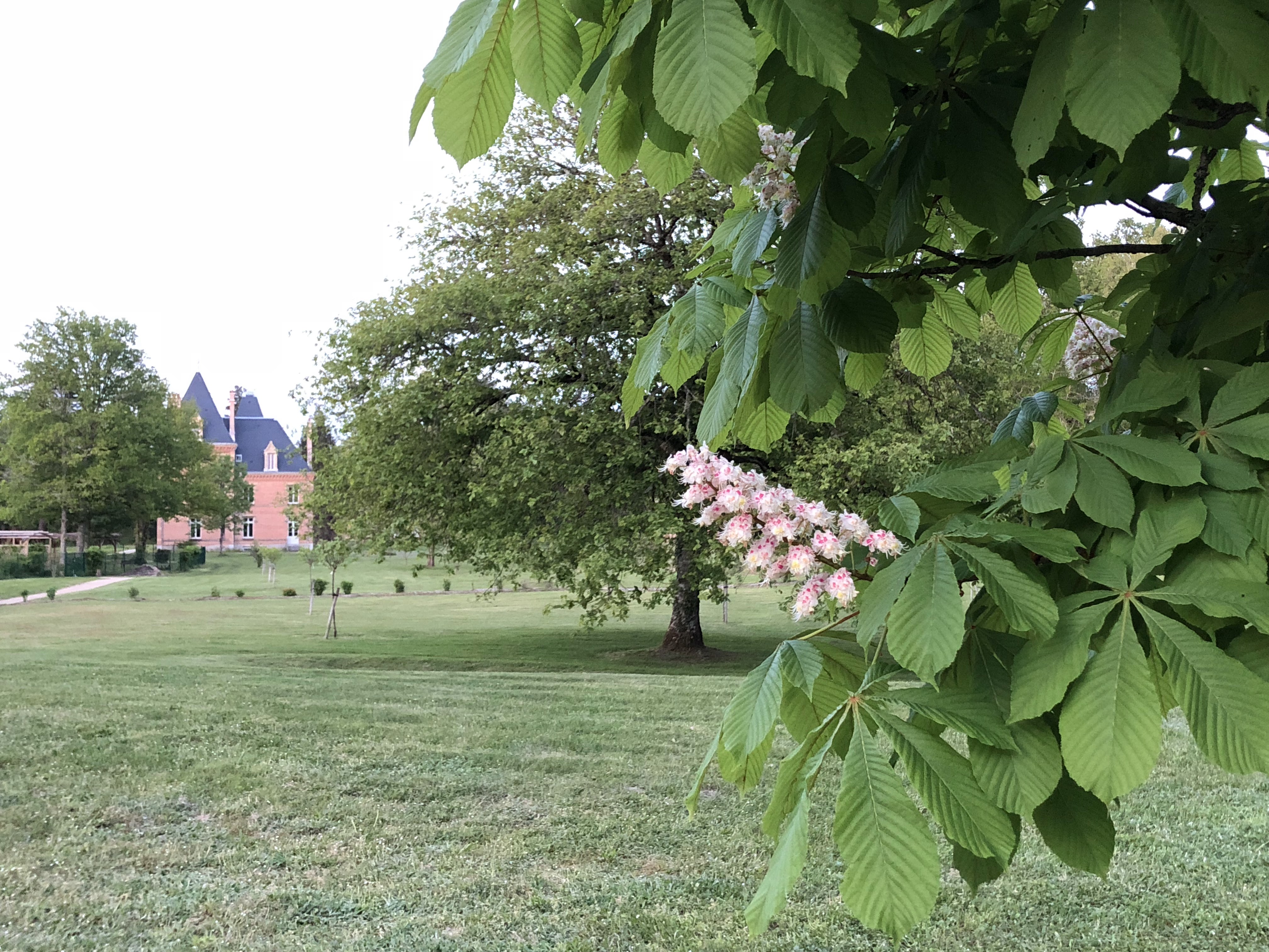 Photo n° 9 de l'avis de Veronika.n fait le 21/06/2018 à 08:19