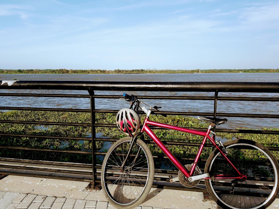 Carliño Bicicletas