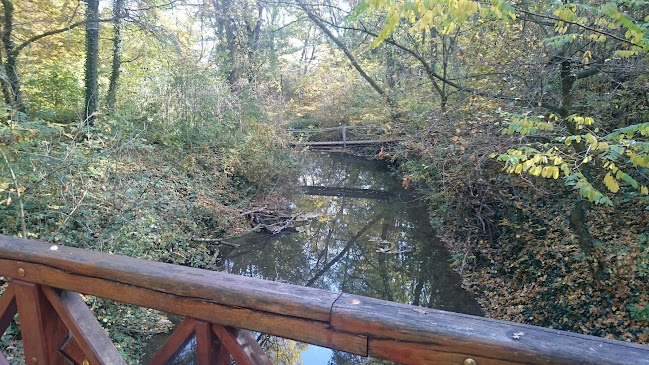 Értékelések erről a helyről: Natura Ligna Kft., Kincsesbánya - Ingatlaniroda