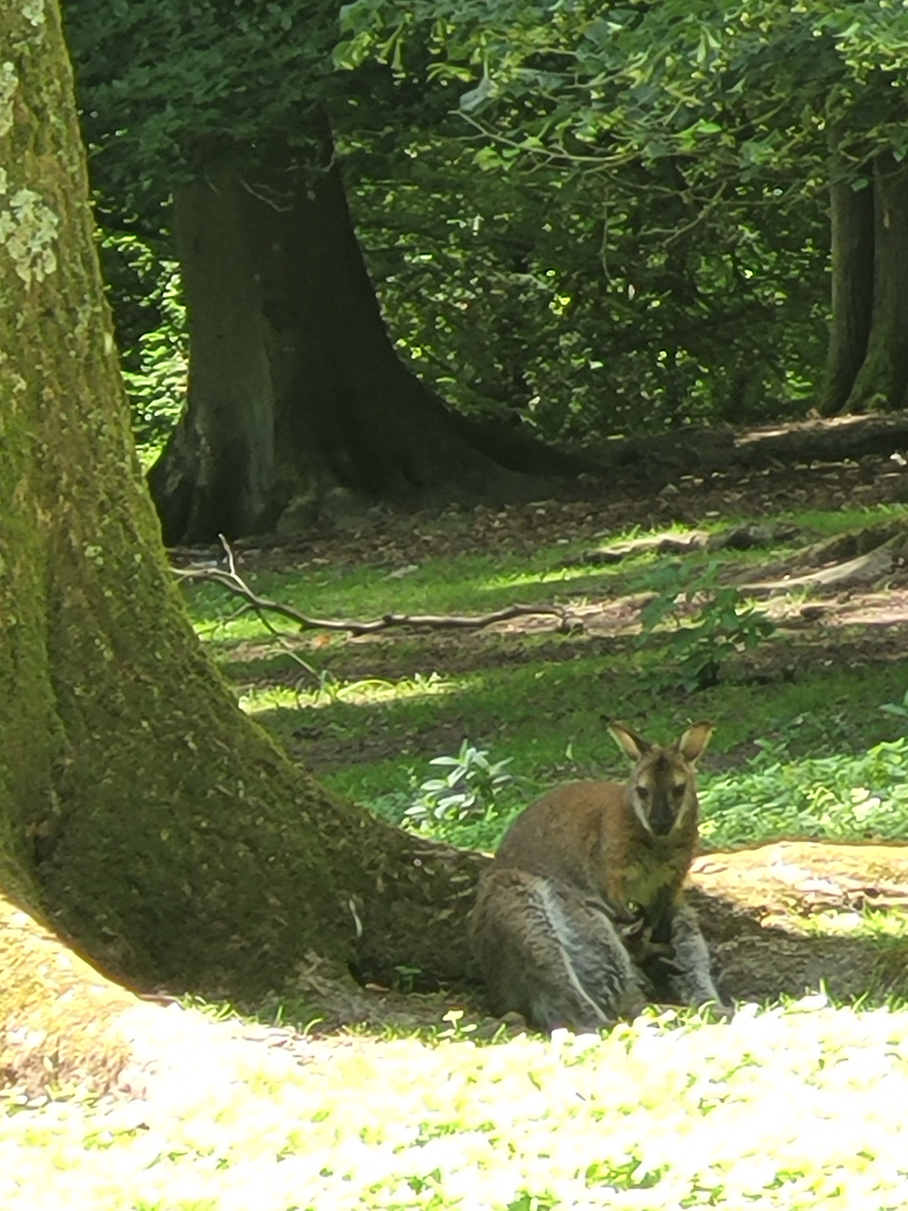 Photo n° 18 de l'avis de Vero.o fait le 14/06/2022 à 11:47