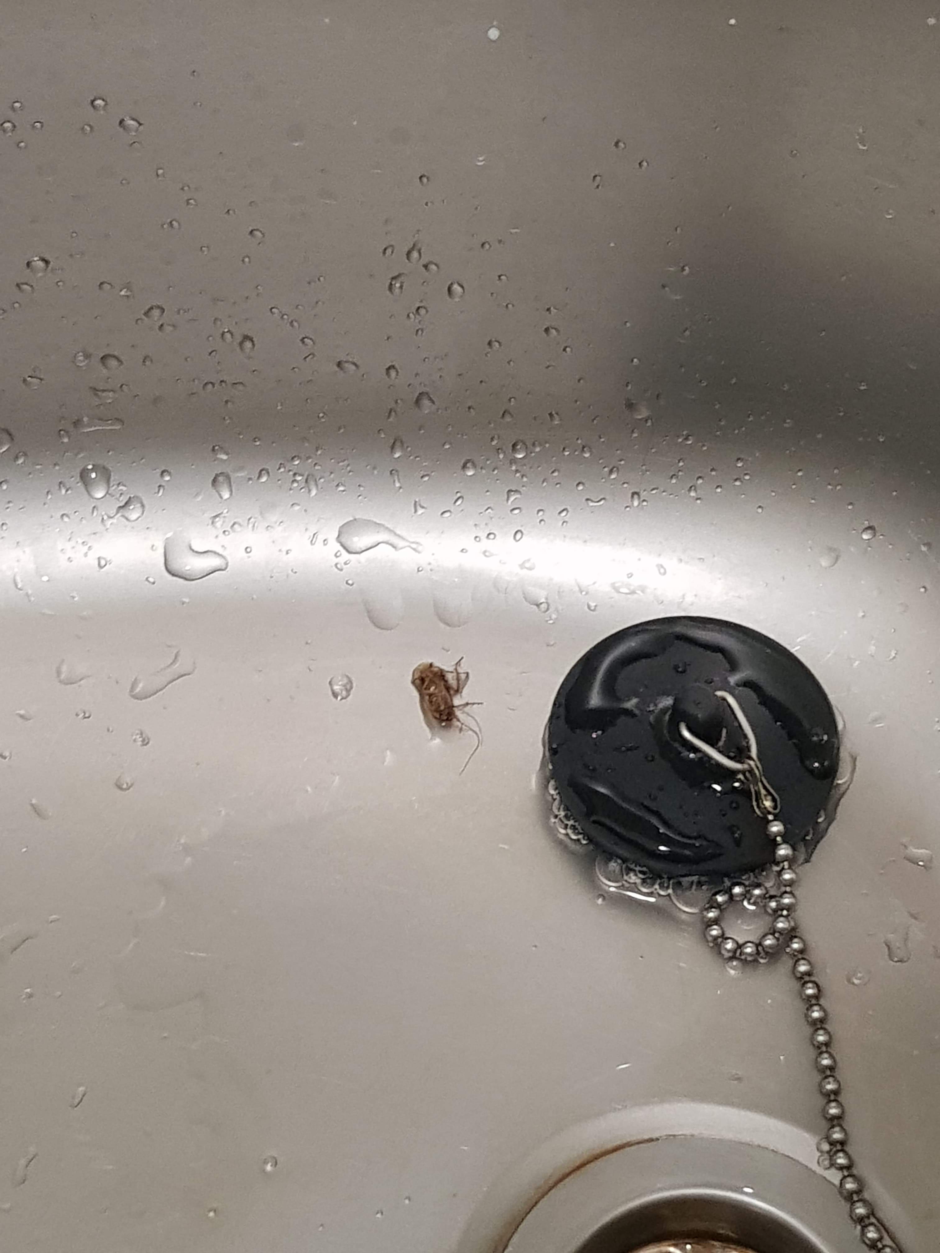 Photo n° 2 de l'avis de AM. fait le 29/12/2019 à 21:09