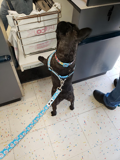 Pet Supply Store «Petco Animal Supplies», reviews and photos, 2072 Sycamore Rd, DeKalb, IL 60115, USA