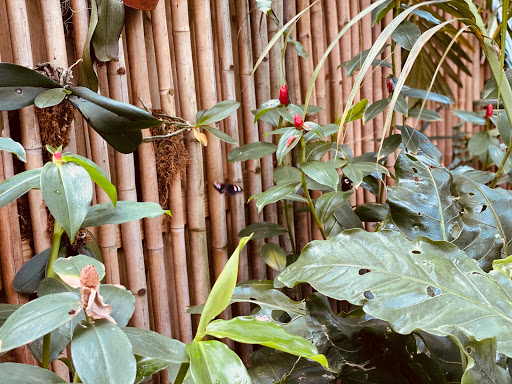 Botanical Garden «White River Gardens», reviews and photos, 1200 W Washington St, Indianapolis, IN 46222, USA