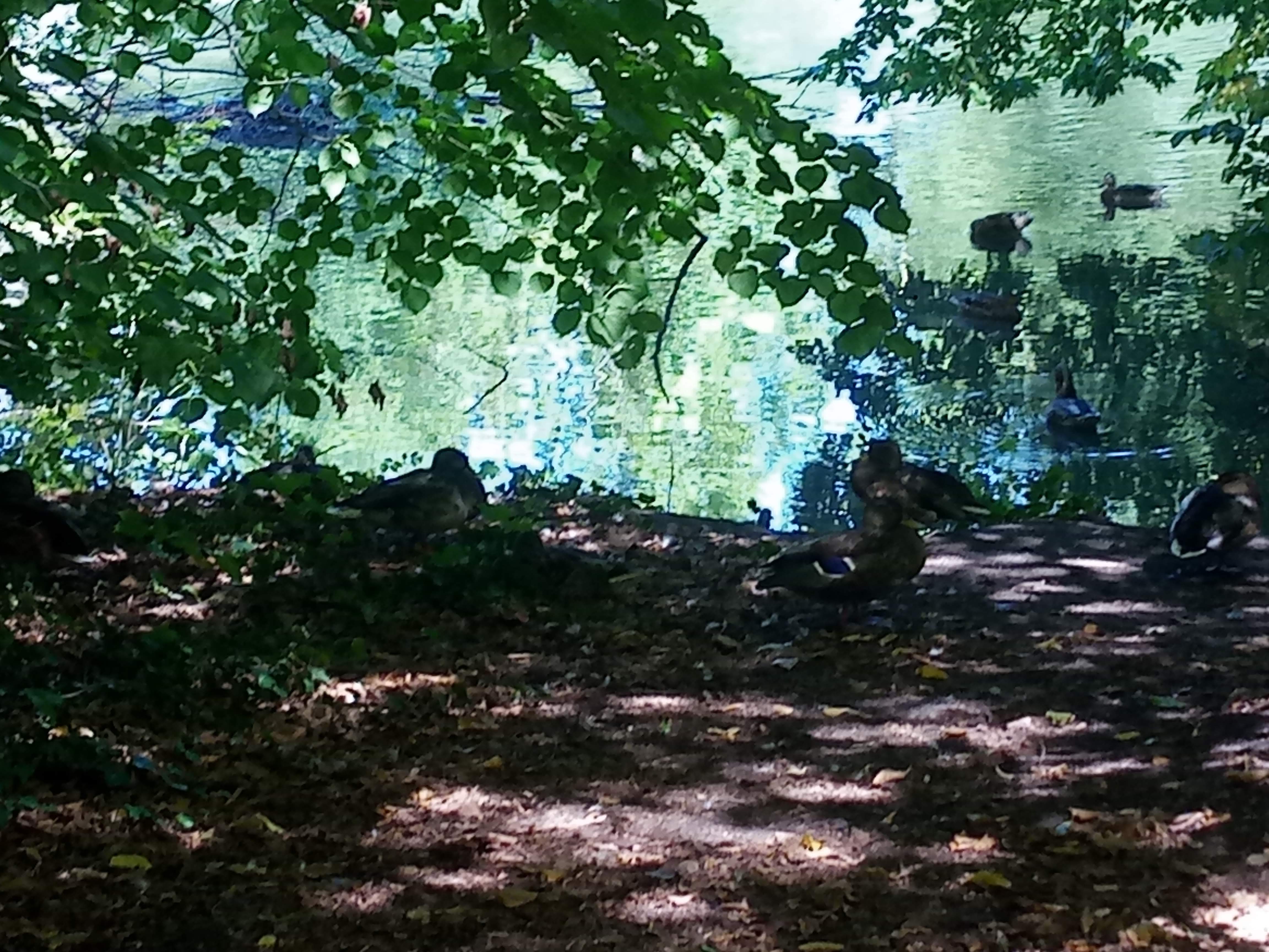 Photo n° 4 de l'avis de Joelle.O fait le 24/08/2020 à 16:05