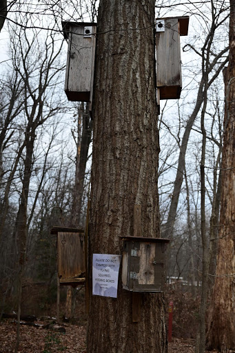 Nature Preserve «Hidden Oaks Nature Center», reviews and photos, 7701 Royce St, Annandale, VA 22003, USA