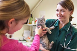 San Angelo Veterinary Hospital