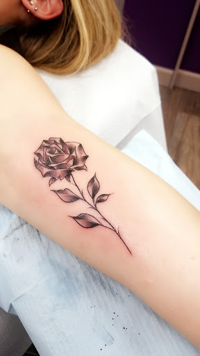 Explore big cat tattoo ideas, creative tattoo ideas in Sandwich, available at Family Pride Tattooing and Piercing
