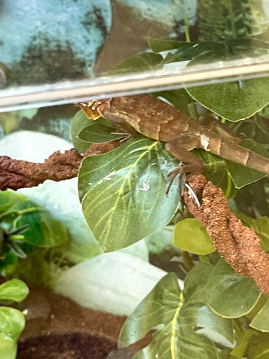 Pet Supply Store «Petco Animal Supplies», reviews and photos, 1945 W Palmetto St #250, Florence, SC 29501, USA