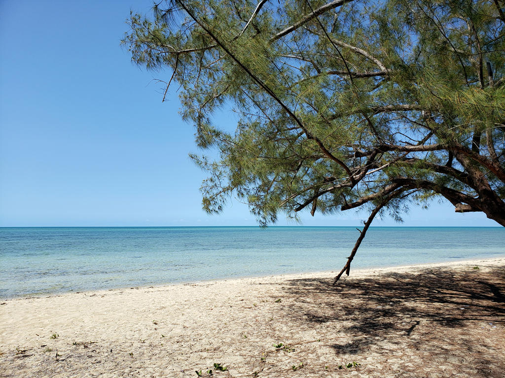 Coral Harbour beach的照片 带有宽敞的海岸