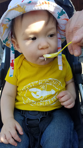 Dairy Farm «Sugar Hill Dairy», reviews and photos, 600 Pleasant St, Bridgewater, MA 02324, USA