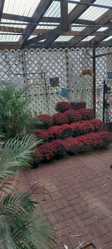 Florist «Garden of Eden Flower Shop, Pennsville», reviews and photos, 199 N Broadway, Pennsville, NJ 08070, USA