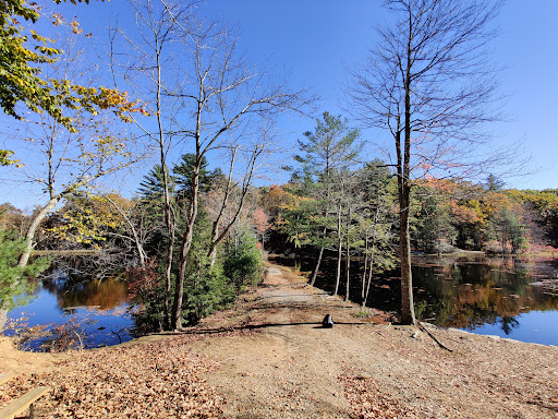 Outdoor Sports Store «Maple Hill Disc Golf», reviews and photos, 132 Marshall St, Leicester, MA 01524, USA