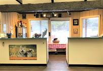 Best Friends Pet Hotel - Photo 9 - Car repair in Avon, CT, Hartford