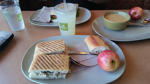Sandwich Shop «Panera Bread», reviews and photos, 7400 W North Ave, Elmwood Park, IL 60707, USA
