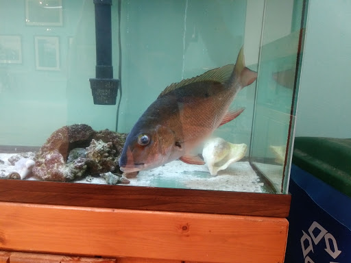 Aquarium «The River Center», reviews and photos, 805 US-1, Jupiter, FL 33477, USA