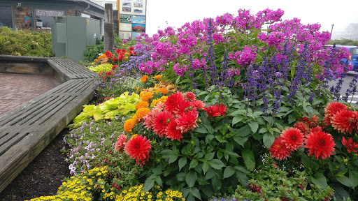 Whale Watching Tour Agency «Bar Harbor Whale Watch Co», reviews and photos, 1 West St, Bar Harbor, ME 04609, USA