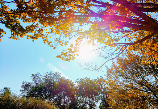 Park «Midway Park», reviews and photos, 615 N Main St, Euless, TX 76039, USA