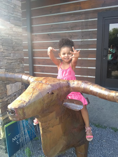 Public Golf Course «Pine Creek Golf Course», reviews and photos, 1835 Logue Road, Mt Juliet, TN 37122, USA