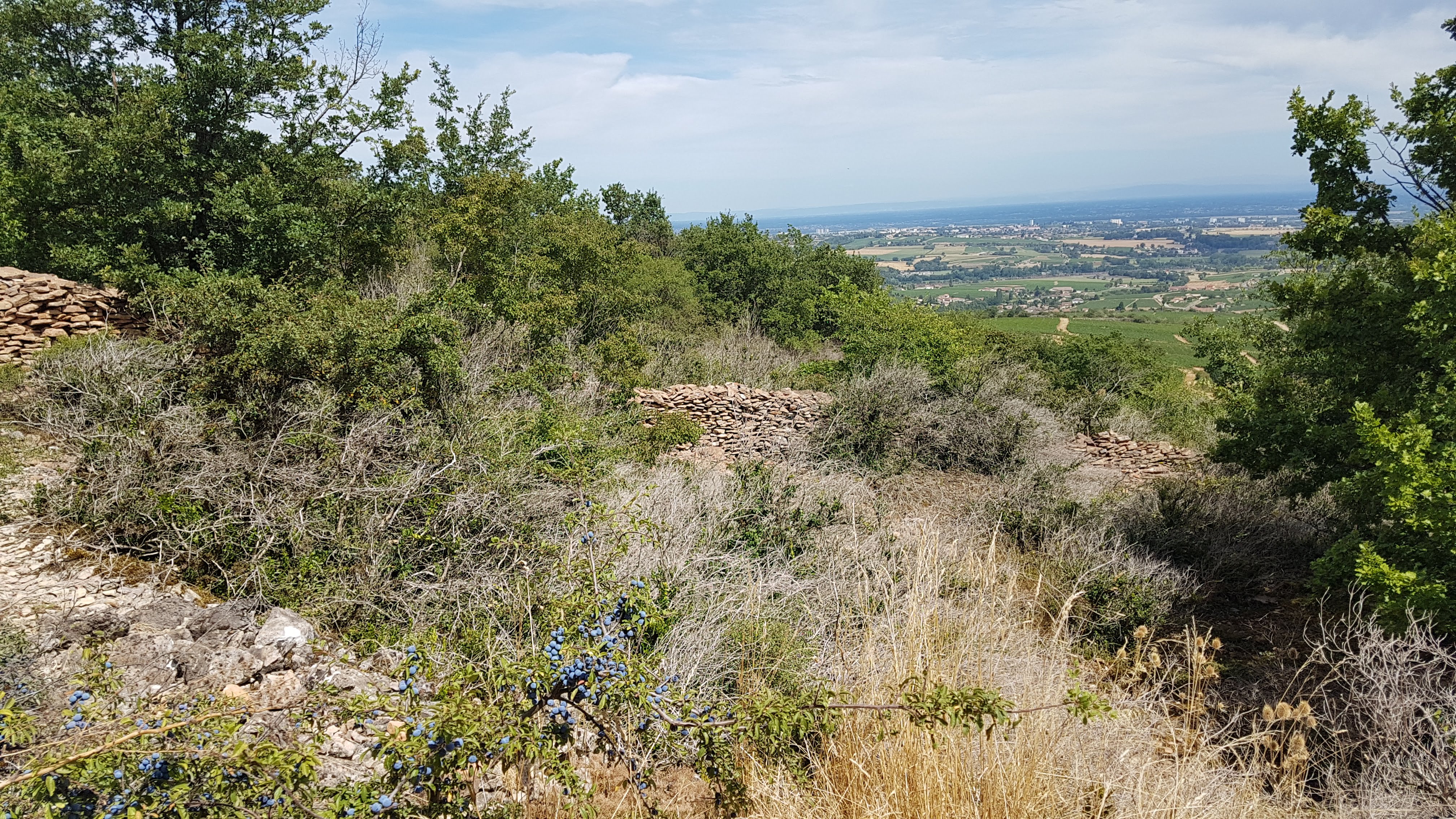 Photo n° 3 de l'avis de Delphine. fait le 03/08/2019 à 11:42