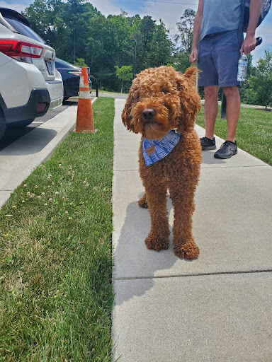 Pet Supply Store «Petco Animal Supplies», reviews and photos, 1419 Towne Square Blvd NW, Roanoke, VA 24019, USA