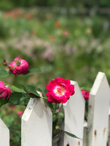 Museum «Old Salem-Visitor Center», reviews and photos, 900 Old Salem Rd, Winston-Salem, NC 27101, USA