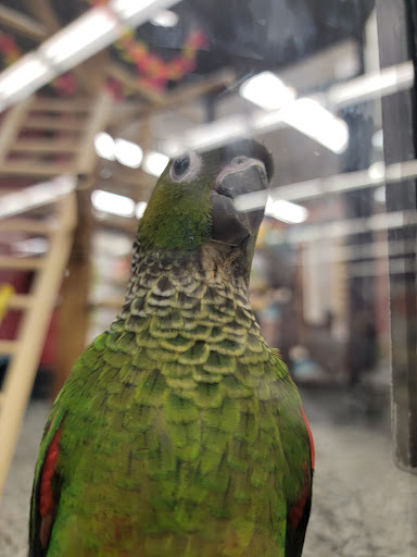 Pet Supply Store «Petco Animal Supplies», reviews and photos, 6181 Old Dobbin Ln #800, Columbia, MD 21045, USA