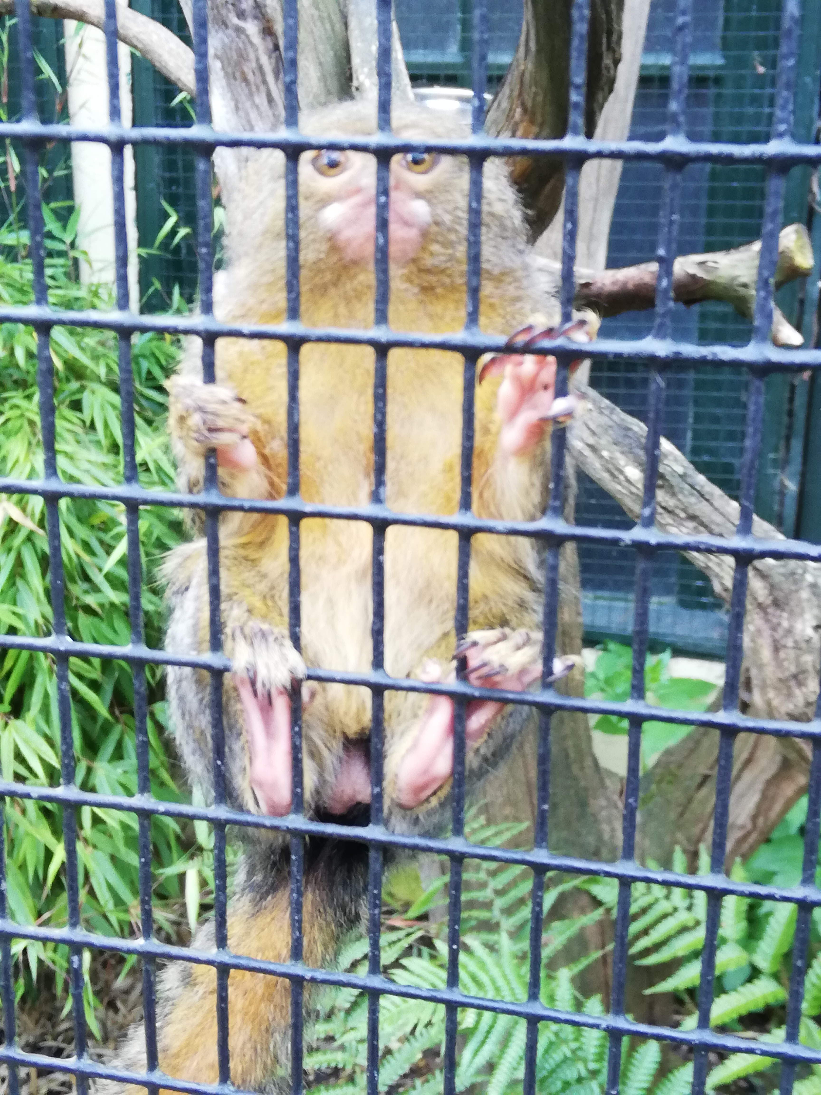 Photo n° 7 de l'avis de Jérôme.r fait le 09/10/2021 à 23:59