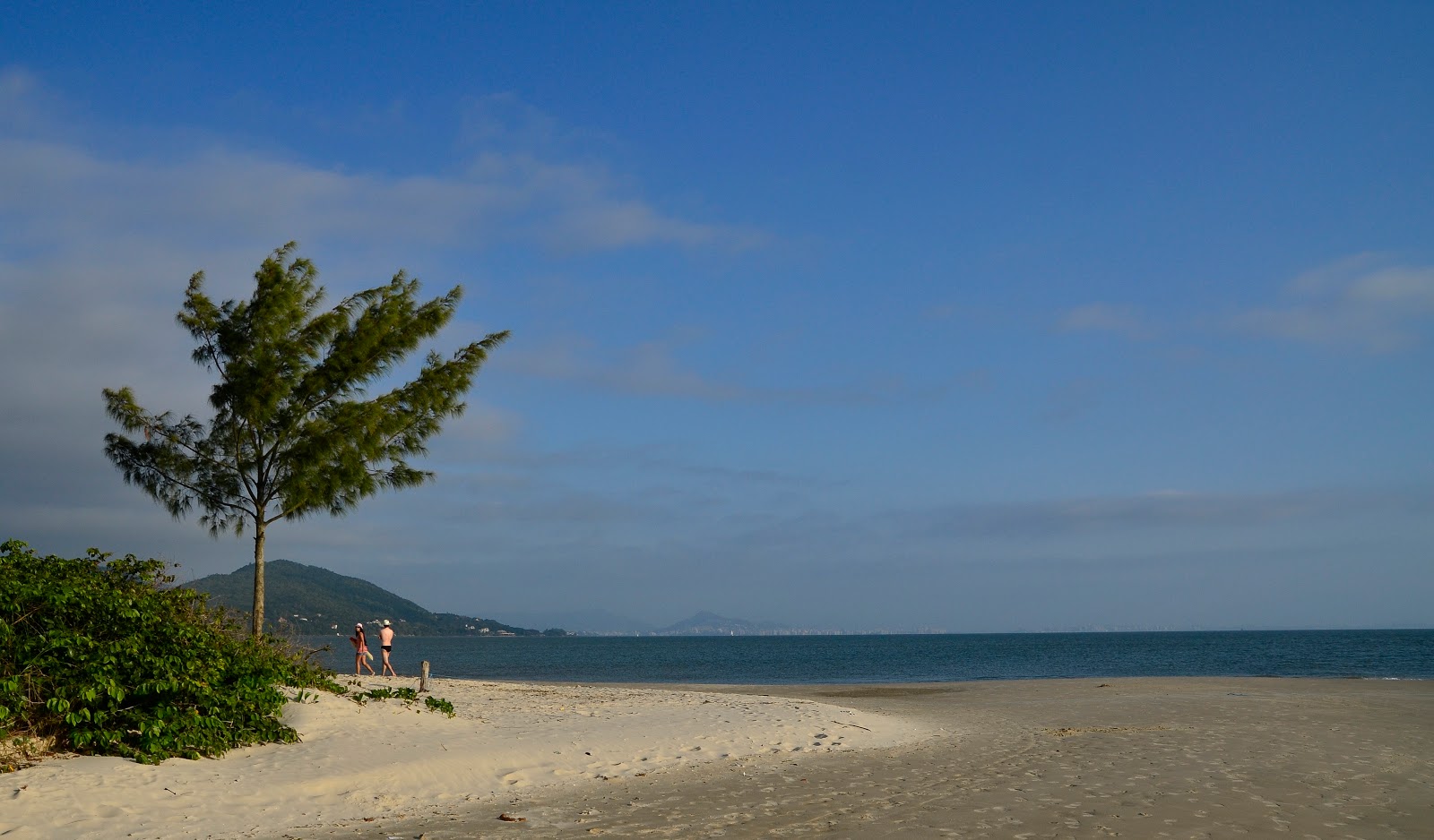 Photo of Pontal beach wild area