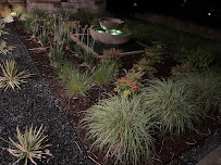 Garden Design Inc. - Photo 9 - Car repair in Dallas, TX, Carrollton