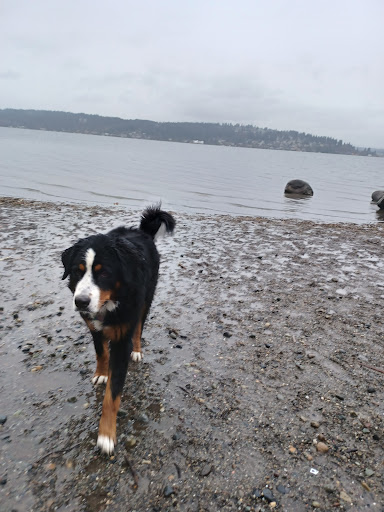 Pet Supply Store «Pet Pros», reviews and photos, 10304 Lake City Way NE, Seattle, WA 98125, USA