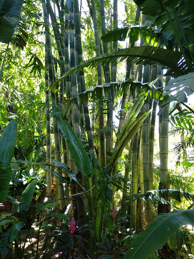 Museum «Aerospace Discovery at the Florida Air Museum», reviews and photos, 4175 Medulla Rd, Lakeland, FL 33811, USA