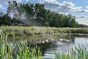 Alhagen Wetlands image
