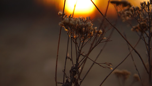 Craft Store «Hobby Lobby», reviews and photos, 4279 Lien Rd, Madison, WI 53704, USA