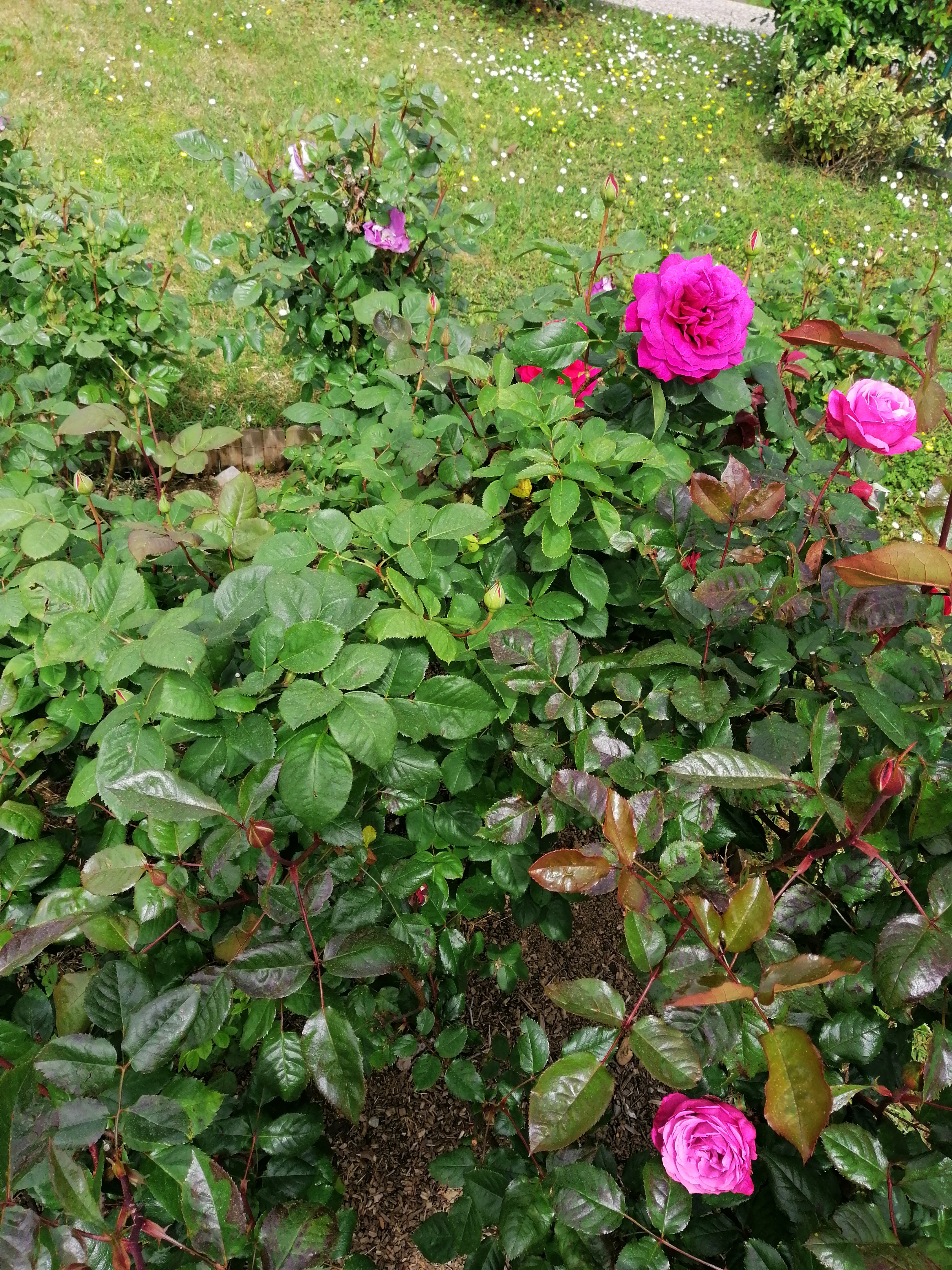 Photo n° 1 de l'avis de Isabel.r fait le 24/04/2019 à 16:53