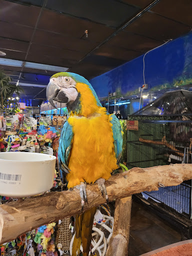 Pet Store «Pet Kingdom», reviews and photos, 4650 S Cleveland Ave, Fort Myers, FL 33907, USA