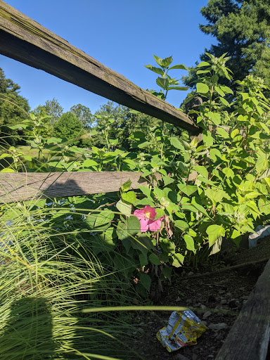 City Park «Krannert Park», reviews and photos, 605 South High School Road, Indianapolis, IN 46241, USA