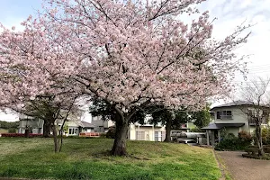Hinatano Park image