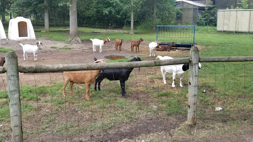 Zoo «Wilderness Trails Zoo», reviews and photos, 11721 Gera Rd, Birch Run, MI 48415, USA
