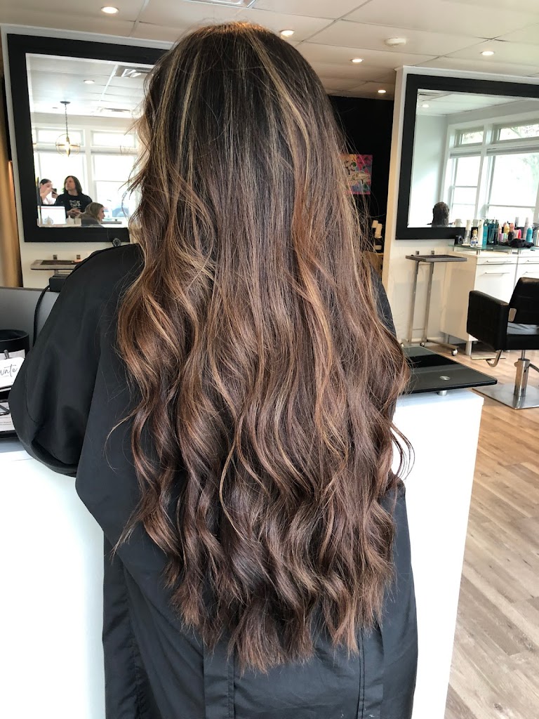 Elevate Beauty Lounge 11940